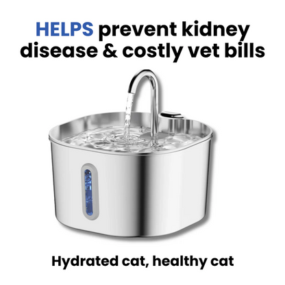 PurrFilter Stainless Steel Water Fountain